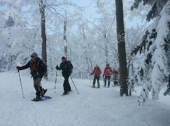 Excursión Raquetas de nieve Léoncel - échaillon chovet sausse gampalloux - Photo