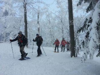 Percorso Racchette da neve Léoncel - échaillon chovet sausse gampalloux - Photo