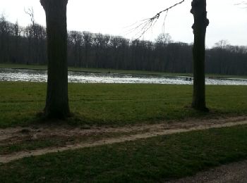 Trail Walking Bailly - versailles-gally - Photo