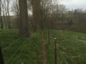 Tour Wandern Maarkedal - Schorisse Vlaamse Ardennen - Photo