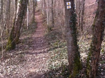 Trail Walking Domrémy-la-Pucelle - sur les pas de Jeanne d'Arc - Photo