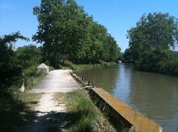 Randonnée V.T.T. Colombiers - Canal du Midi - Oppidum, La Croisade  - Photo