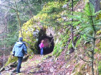 Trail Walking Arvillard - Tunnels Saint Hugon-1 - Photo