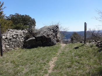 Randonnée Marche Les Plans - Le plateau de Grezac - Photo
