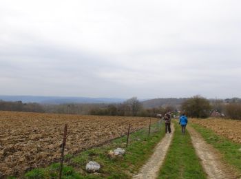 Trail Walking Yvoir - D'Yvoir à Evrehailles - Photo