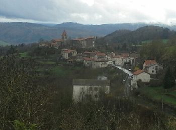 Trail Walking Le Puy-en-Velay - Le Puy en Velay - Saint Privat d'Allier - Photo