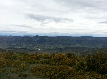 Tour Mountainbike Buis-les-Baronnies - Rando Buis les barronies - Photo