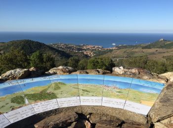 Trail Walking Collioure - COLLIOURE 66 - Ermitage ND de consolation - tour MADELOC - Photo