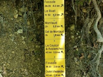 Excursión Senderismo La Rivière - Pied FraisLe Rivet Par le Pas du Versoud - Photo