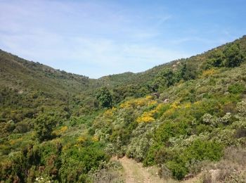 Tocht Lopen Sainte-Maxime - trail maxime - Photo