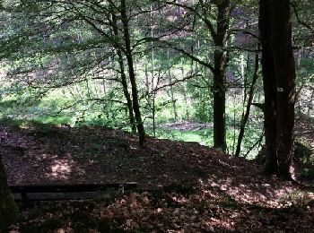 Trail Walking Herbeumont - Les Burzais - départ du gite Le bout des bois - Photo