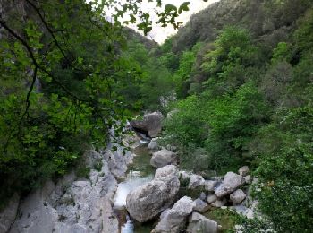 Excursión Senderismo Sales de Llierca - Gorges de St Aniol Sadernes - Photo