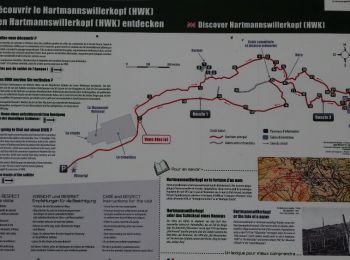 Trail Walking Soultz-Haut-Rhin - Hartmannswillerkopf - Circuit découverte - Photo