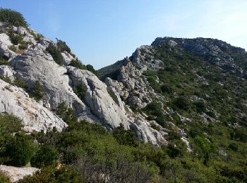 Tocht Stappen Vingrau - vingrau Chemin des contrebandiers_T - Photo