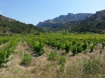 Tour Wandern Vingrau - Chemin des Contrebandiers Vingrau variante - Photo