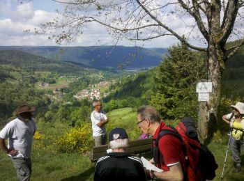 Trail Walking Basse-sur-le-Rupt - Vosges-150517 - SentierPointsVue - Photo