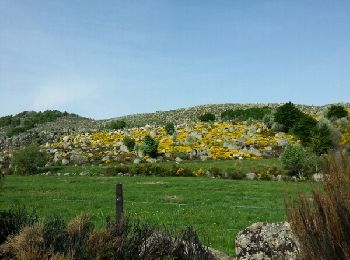 Excursión Senderismo Mont Lozère et Goulet - Station du bleymard Florac, - Photo