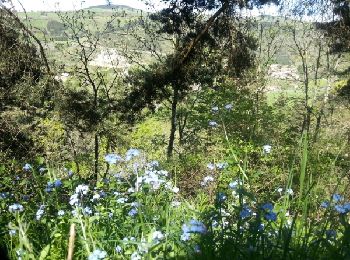 Tocht Stappen Le Monastier-sur-Gazeille - monastier Masclaux - Photo