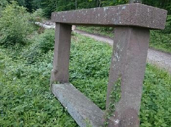 Randonnée Marche Climbach - promenade dominicale.  - Photo