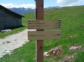 Trail Walking Fillière - col gli chal auges - Photo