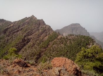 Trail Walking Santa Cruz de la Palma - La Palma-Los Roques - Photo