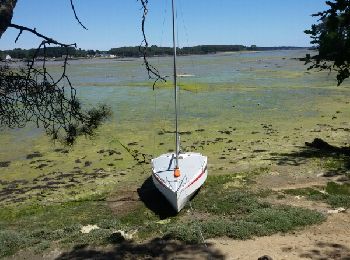 Excursión Senderismo Baden - Auray (Pointe de Blair).07-06-15 - Photo