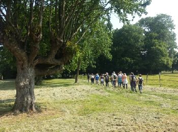 Percorso Marcia Plaisir - rando du 11/06/2015 - Photo