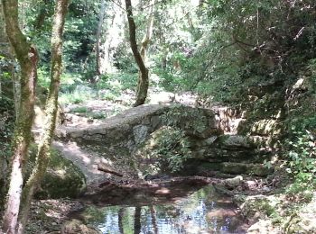 Tocht Stappen Valbonne - Valbonne - La Brague et Le Bruguet - Photo