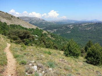 Tocht Stappen Saint-Vallier-de-Thiey - Grasse - Montagne de Thiey - Photo