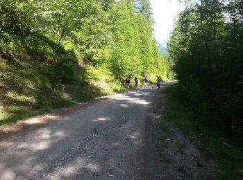Trail Mountain bike La Salle-les-Alpes - la guisanne - Photo