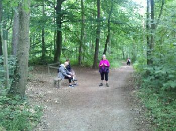 Tocht Stappen Obernai - Obernai-150621 - VVF-ParcoursEhn - Photo