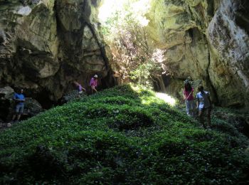 Trail Walking Gémenos - de l'Espigoulier à Bertagne par les dents de roque forcade - Photo