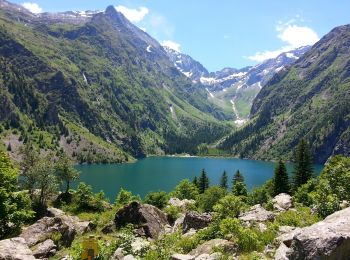 Randonnée Marche Les Deux Alpes - Les Deux Alpes - de La Danchère au Lac Lauvitel - 9.3km 590m 6h10 (1h10) - 2015 06 22 - Photo