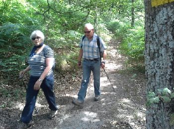 Trail Walking Poigny-la-Forêt - Sortie du 25/06/2015 - Photo