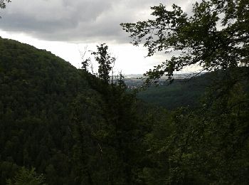 Randonnée Autre activité Saverne - bteitkoph - Photo