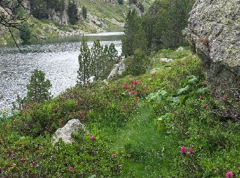 Trail Walking L'Hospitalet-près-l'Andorre - Etang de Besines - Photo