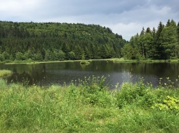 Tour Wandern Woll - lac de Lispach - Photo