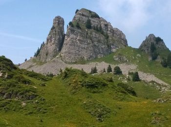 Tour Wandern Gündlischwand - Schynige Platte chemin panoramique 06.07.15 - Photo