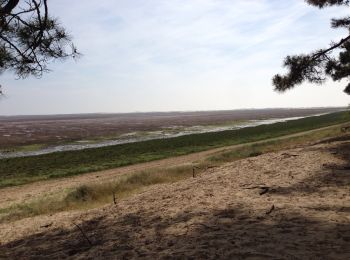 Trail Cycle Saint-Palais-sur-Mer - Boucle : Nauzan, Mornac, La Tremblade, Phare La Coubre, La Palmyre Nauzan. - Photo