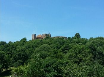 Randonnée Marche Lichtenberg - château lichtenberg - Photo