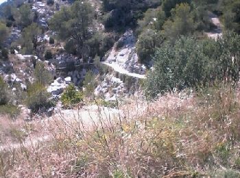 Excursión Bici de montaña Gruissan - ile de St Martin + la clape - Photo