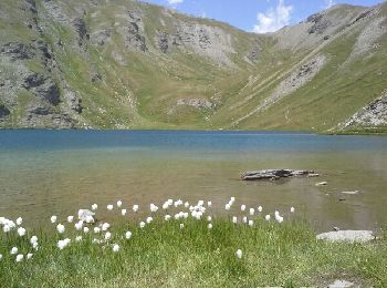 Trail Walking Aiguilles - les lacs du Malrifs - Photo