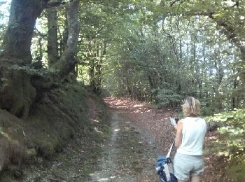 Tour Wandern Lespinassière - Salette -Chiffre - Photo