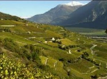 Excursión Senderismo Saint-Léonard - Chemin du Vignoble - Photo