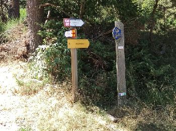 Tour Wandern Peyre en Aubrac - aumont aubrac - gilbertes - Photo