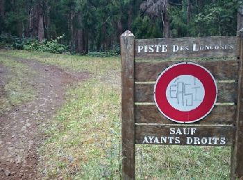 Trail Walking Les Avirons - La Réunion - Boucle au Tevelave par le Sentier Grande Terre - Photo