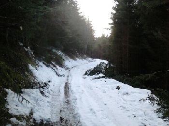 Trail Running Colroy-la-Roche - colroy la roche tour de la chenaudière  - Photo