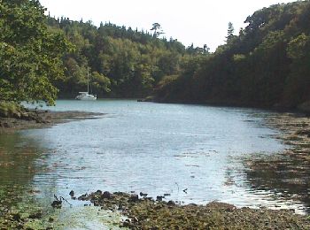 Tocht Andere activiteiten Moëlan-sur-Mer - Moelan - Photo