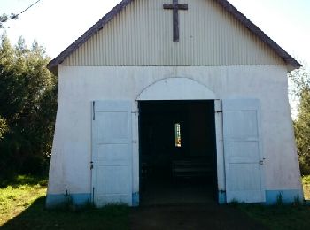 Percorso Marcia Entre-Deux - La Réunion - Le Dimitile (aller-retour) par le sentier de  la chapelle. - Photo
