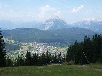 Trail Walking Gemeinde Seefeld in Tirol - Seefelder Spitze - Photo